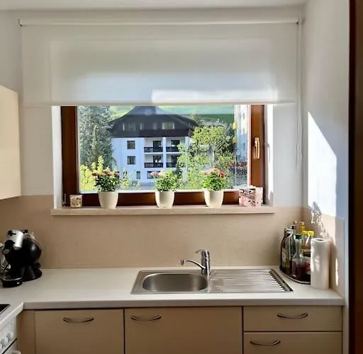 Enzian 6 Апартаменти Бад-Кляйнкірхгайм